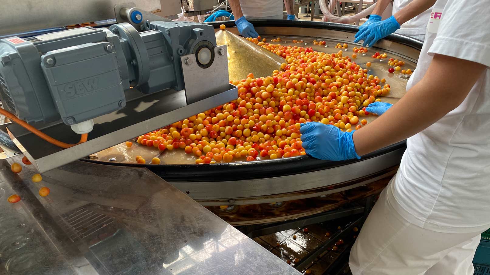 Le retour des beaux jours... et des fruits !